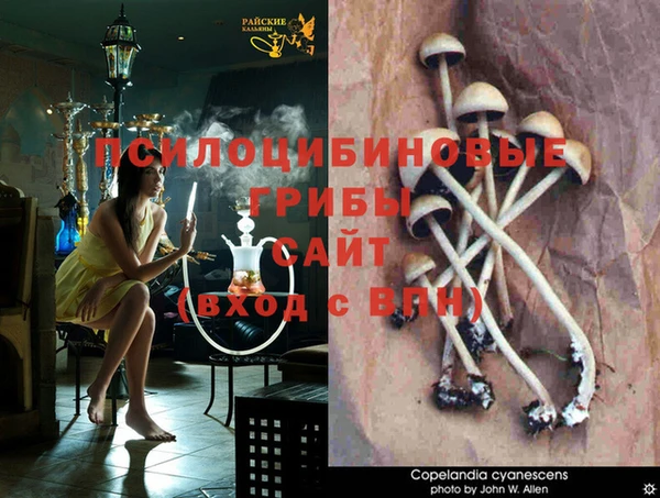 бутират Арсеньев