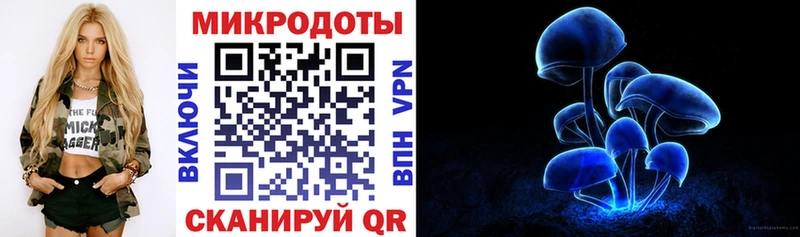 Галлюциногенные грибы Psilocybe  Аткарск 