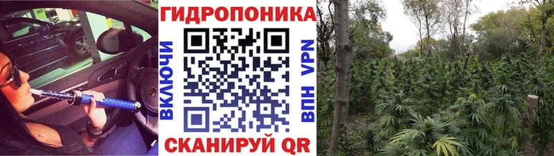 Бошки марихуана конопля blacksprut ССЫЛКА Аткарск